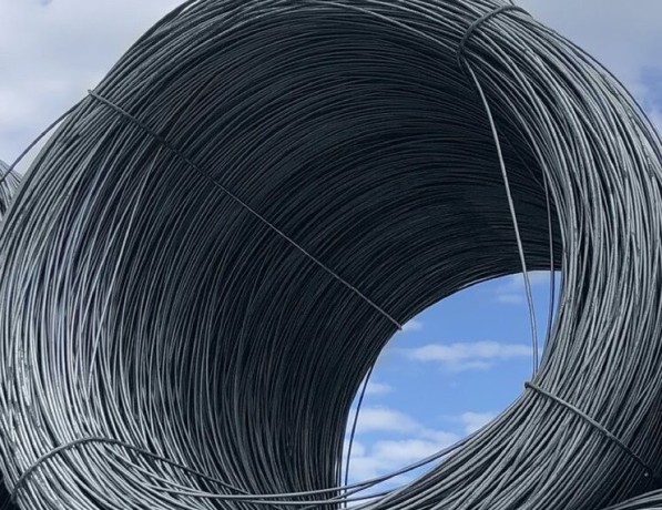 Катанка стальная SAE 1006 3 мм ТУ 14-121-74-2006 фото